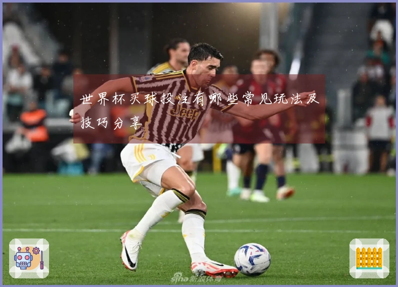 世界杯买球投注有哪些常见玩法及技巧分享