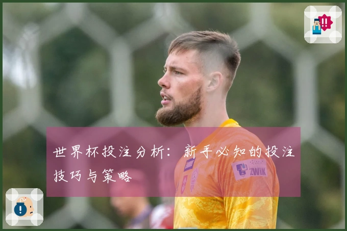 世界杯投注分析：新手必知的投注技巧与策略