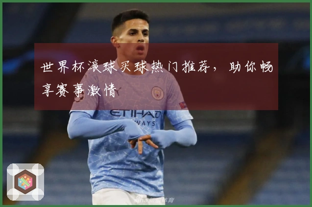 世界杯滚球买球热门推荐，助你畅享赛事激情