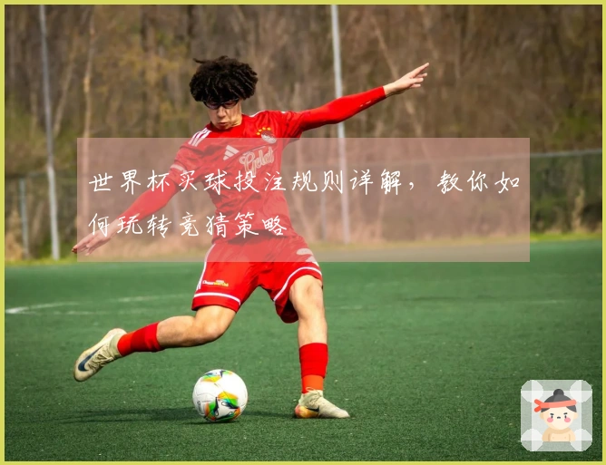 世界杯买球投注规则详解，教你如何玩转竞猜策略