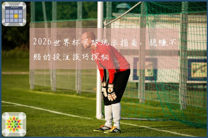2026世界杯买球玩法指南，稳赚不赔的投注技巧探秘