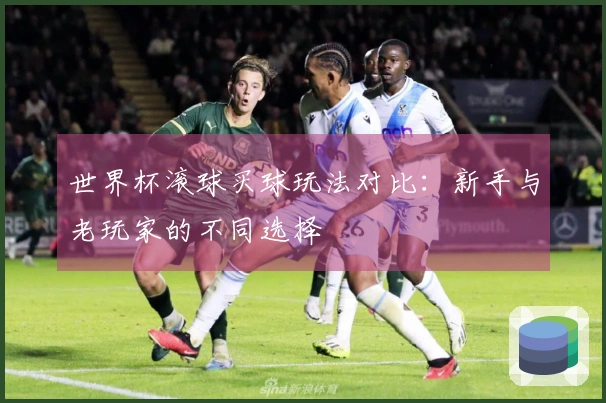 世界杯滚球买球玩法对比：新手与老玩家的不同选择