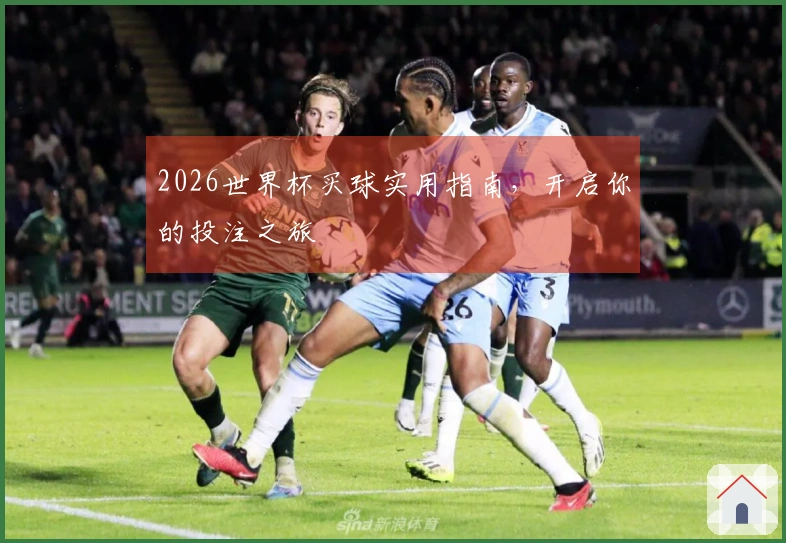 2026世界杯买球实用指南，开启你的投注之旅