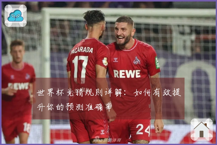 世界杯竞猜规则详解：如何有效提升你的预测准确率