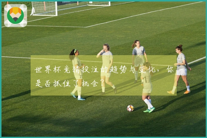 世界杯竞猜投注的趋势与变化，你是否抓住了机会？