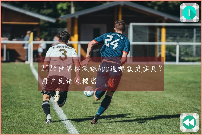 2026世界杯滚球App选哪款更实用？用户反馈大揭密