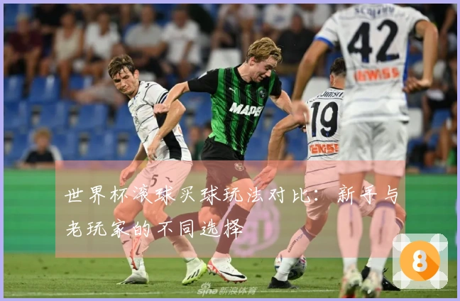 世界杯滚球买球玩法对比：新手与老玩家的不同选择